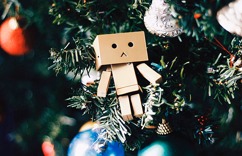 How to Cope with Grief During the Holiday Season?