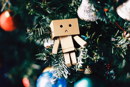 How to Cope with Grief During the Holiday Season?