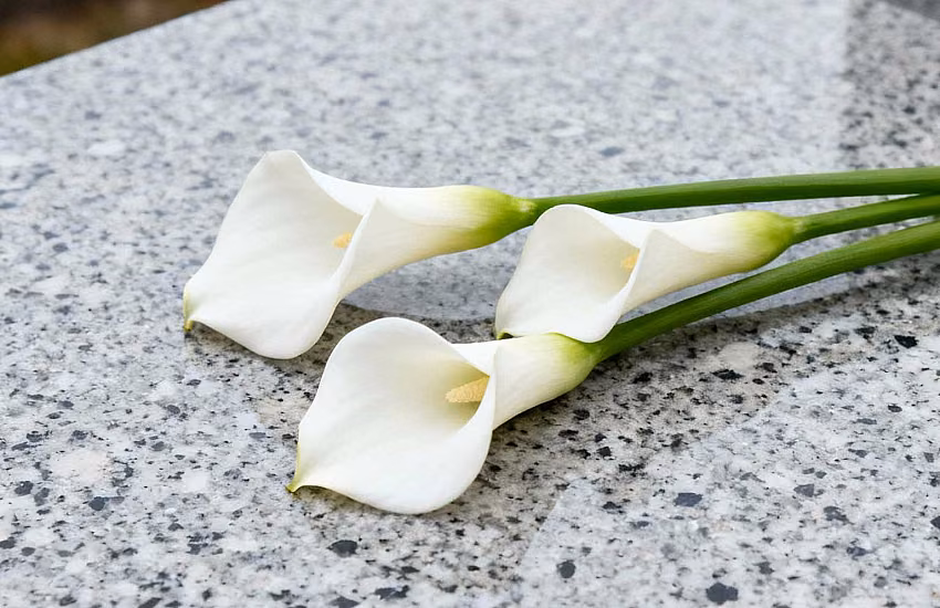 Funeral and Cemetery Flowers – Tradition, Symbolism and Equipment