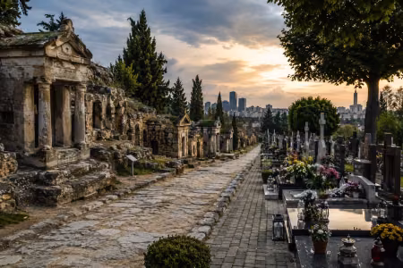 From Ancient Necropolises to Modern Cemeteries – How Burial Places Have Changed Over the Centuries